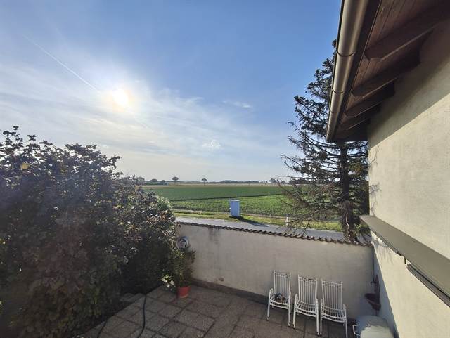 Blick vom Wohngeschoss in den Garten